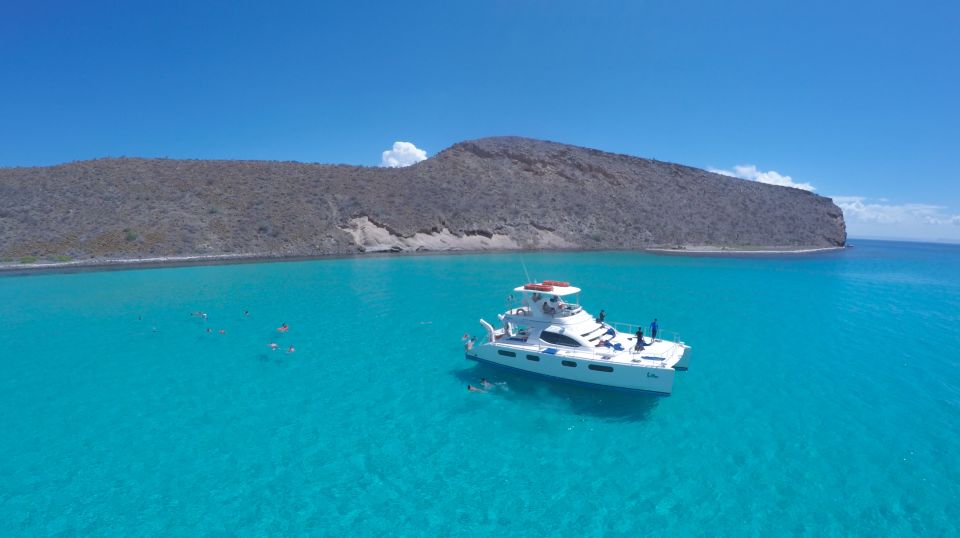 From Los Cabos: La Paz Snorkel and Sea Lion Adventure - Last Words