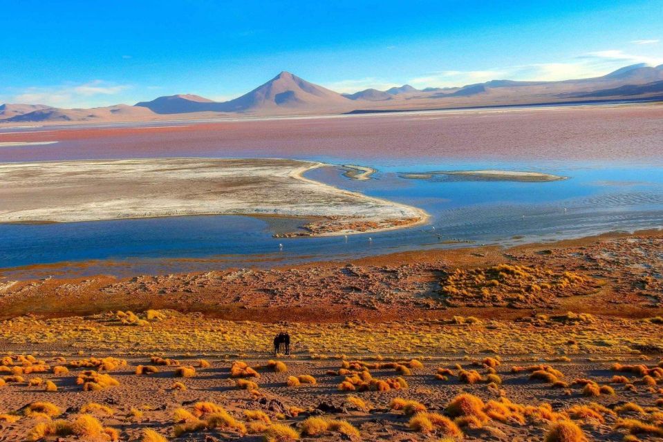 From San Pedro De Atacama: Uyuni Salt Flat 4-Days - Common questions