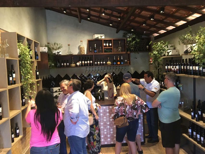 From São Paulo: São Roque Wineries Route and Shopping Tour - Common questions