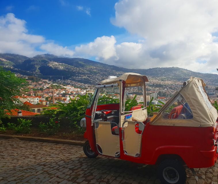 Funchal: Guided City Tuk-Tuk Tour - Last Words