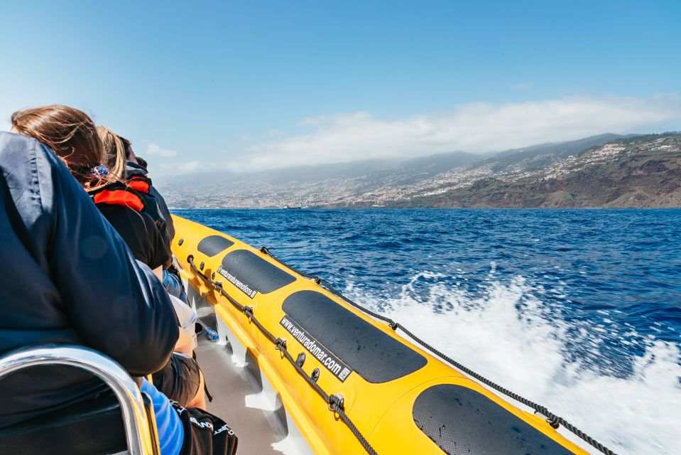 Funchal: Whale and Dolphin Watching Speed Boat Tour - Common questions