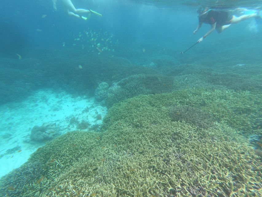 Gili Islands: 3-Island Sharing or Private Snorkeling Trip - Common questions