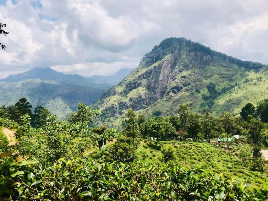 Hill Country Wonders & Cultural Hotspots in Sri Lanka - Common questions