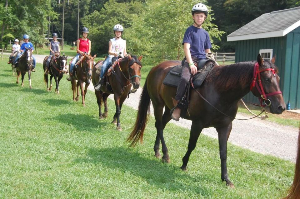 Horse Riding Tour in Alanya - Last Words