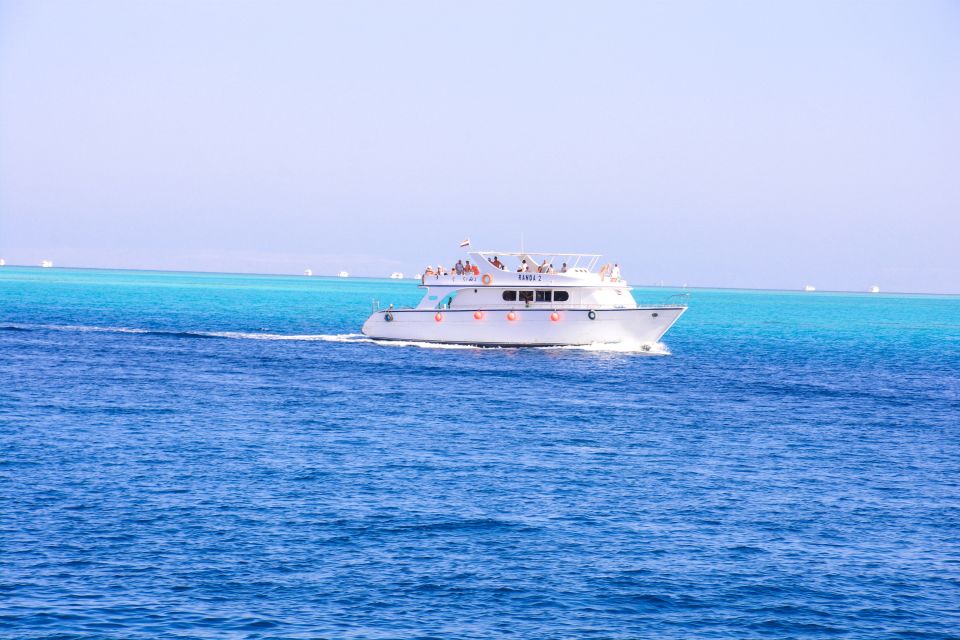 Hurghada: Dolphin Watching With Snorkeling, Lunch, Transfer - Common questions