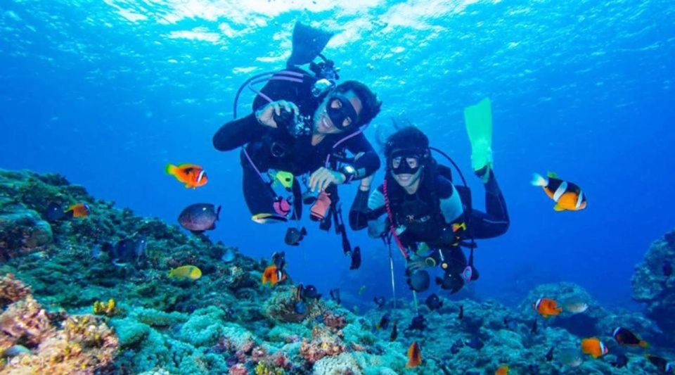 Hurghada: Intro Diving & Snorkeling Tour With Lunch & Drinks - Common questions