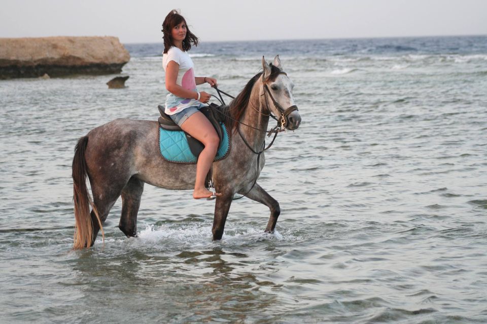 Hurghada: Sea & Desert Horse Tour, Stargazing, Dinner & Show - Common questions