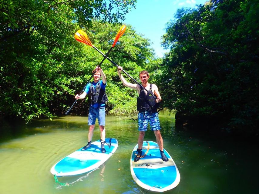 Ishigaki Island: 2-Hour Miyara River Kayaking Tour - Final Words