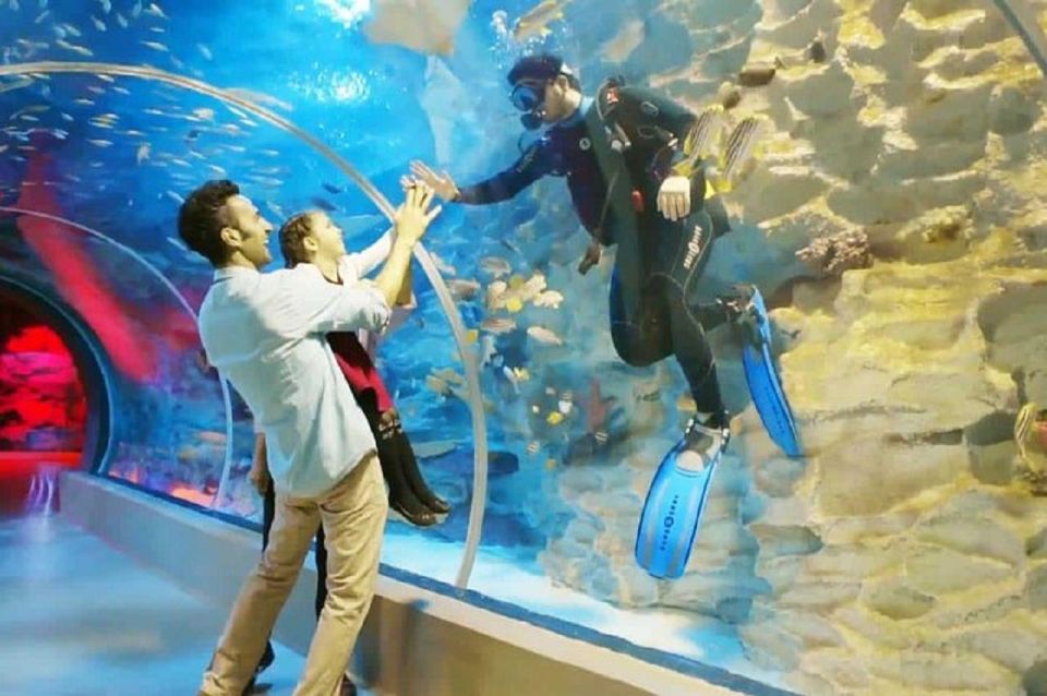 Istanbul Aquarium and Aqua Florya Shopping Mall Tour - Common questions