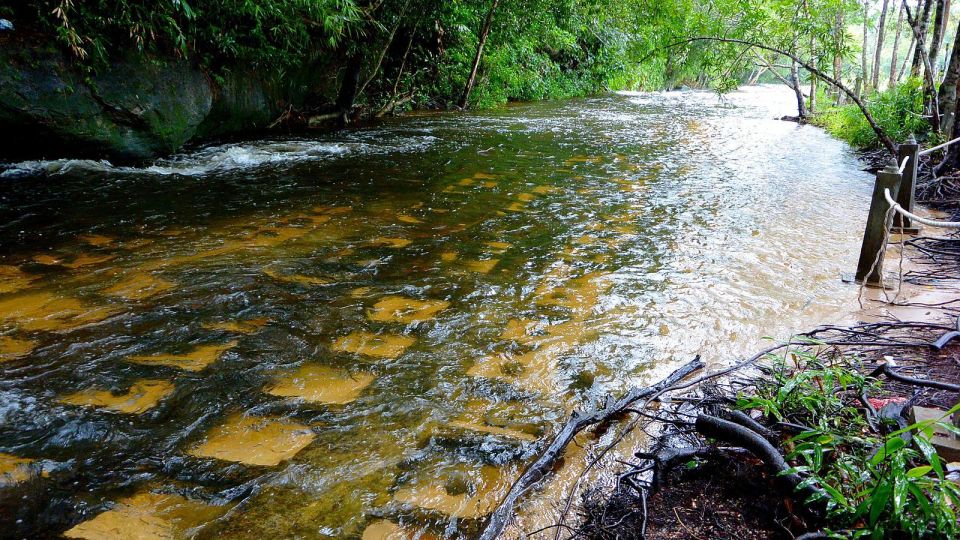 Kulen Elephant Forest & 1000 Lingas River Bed - Last Words