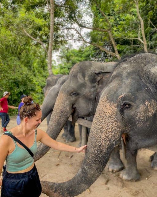 Kulen Elephant Siem Reap Forest in Small Group Tour - Last Words