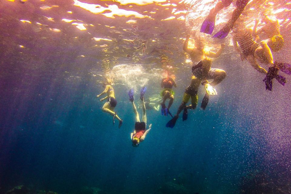 La Romana: Catalina Island Full-Day Snorkeling Tour - Last Words