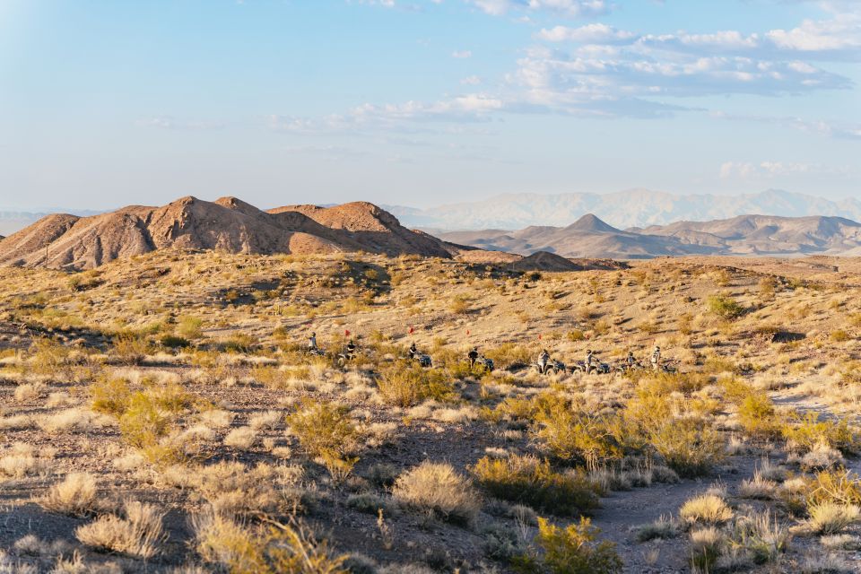 Las Vegas: Guided Las Vegas Desert ATV Tour - Common questions