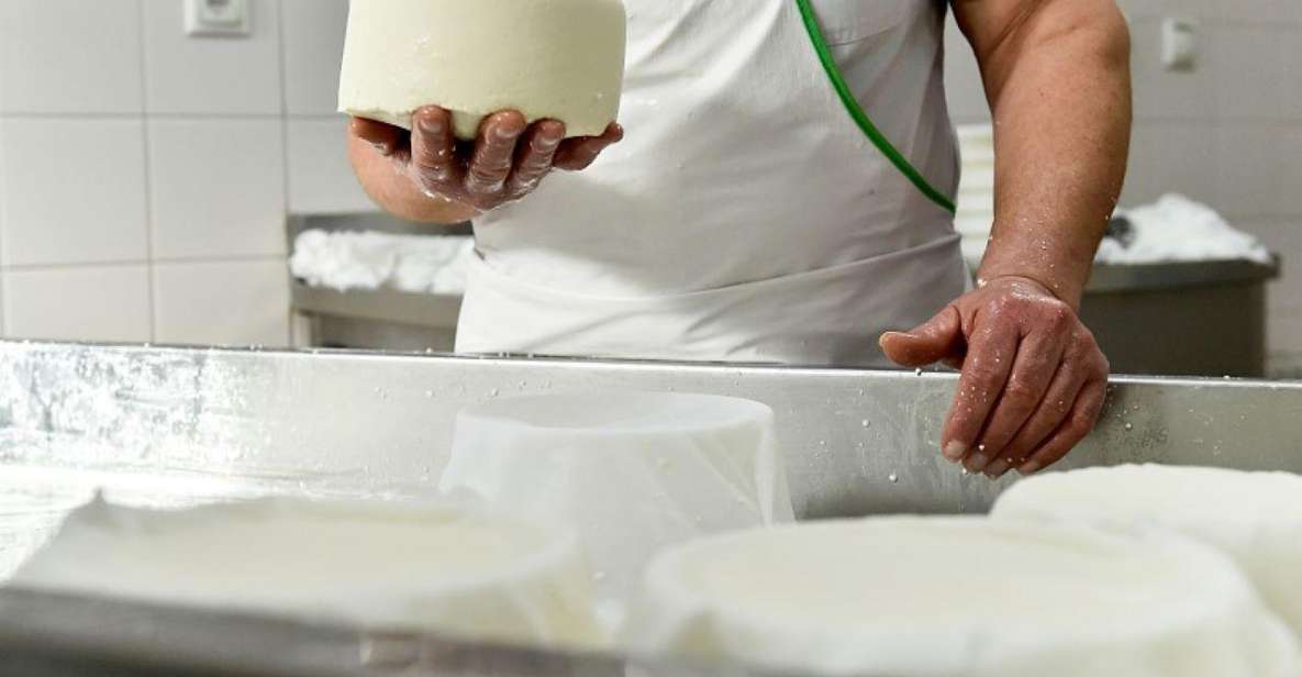 Lisbon: Azeitão Cheese Workshop With Wine & Food Tasting - Common questions