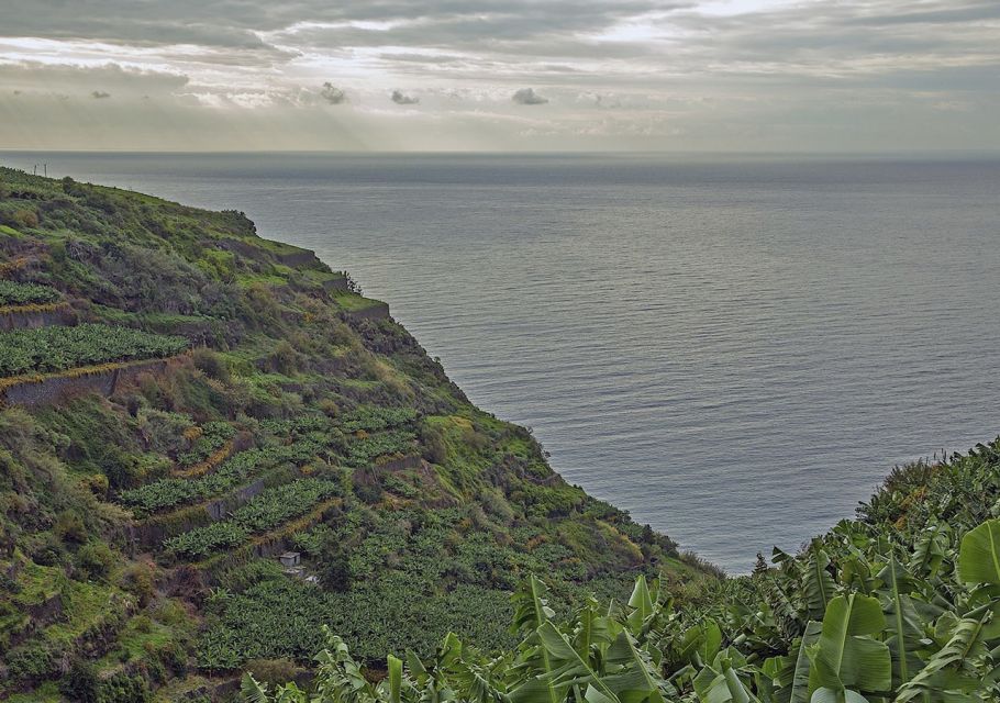 Madeira: Amazing West - Porto Moniz - Common questions