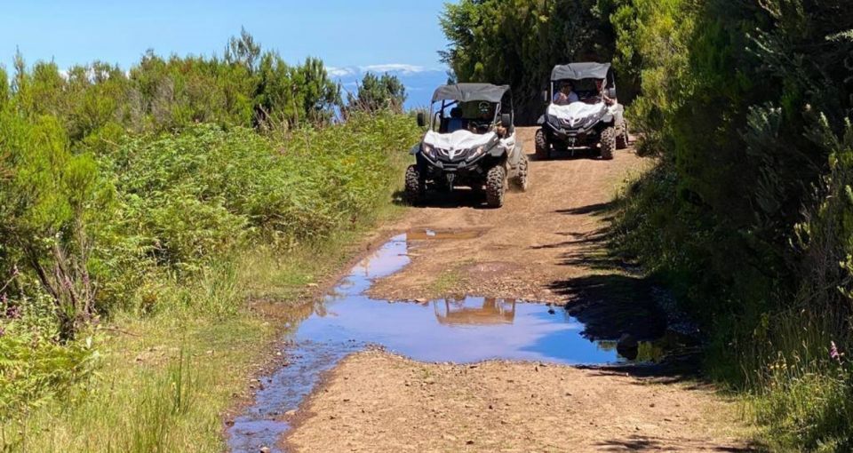 Madeira: Half-Day Off-Road Buggy Tour - Last Words