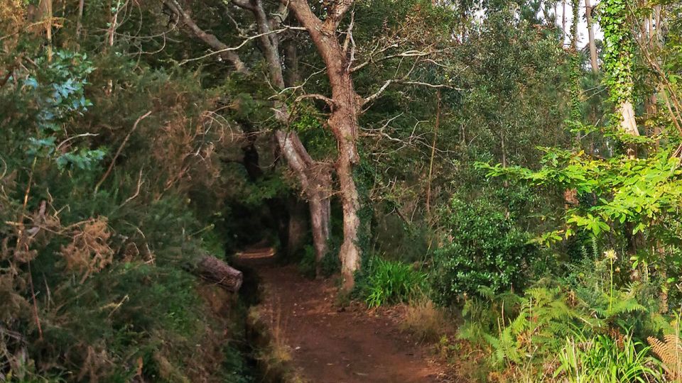 Madeira: Paradise Valley Levada Walk - Common questions