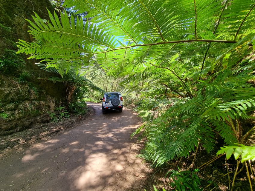Madeira: Picturesque Peaks and Skywalk Private 4x4 Jeep Tour - Last Words