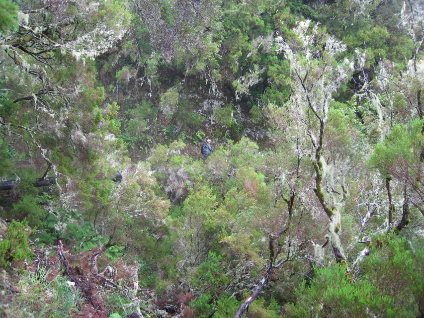 Madeira Walks - Rabaçal and the 25 Fountains - Last Words