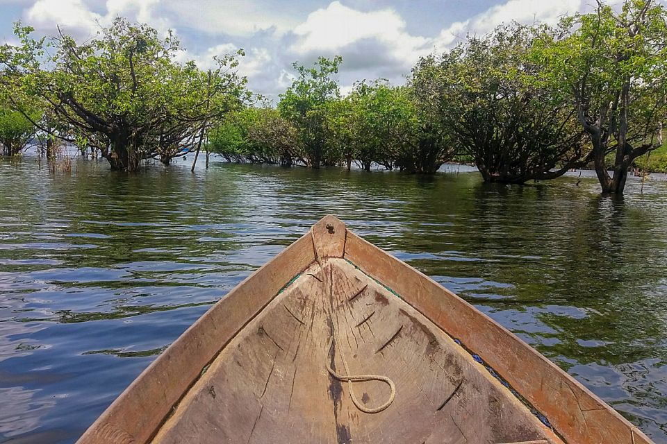 Manaus: 2, 3 or 4-Day Amazon Jungle Tour in Anaconda Lodge - Common questions