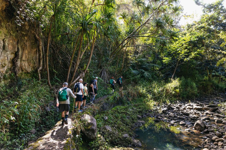 Maui: Hike to the Rainforest Waterfalls With a Picnic Lunch - Common questions