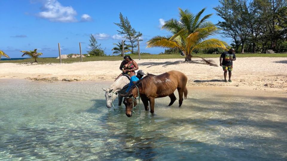 Montego Bay: Horseback Riding and Swimming Private Adventure - Last Words