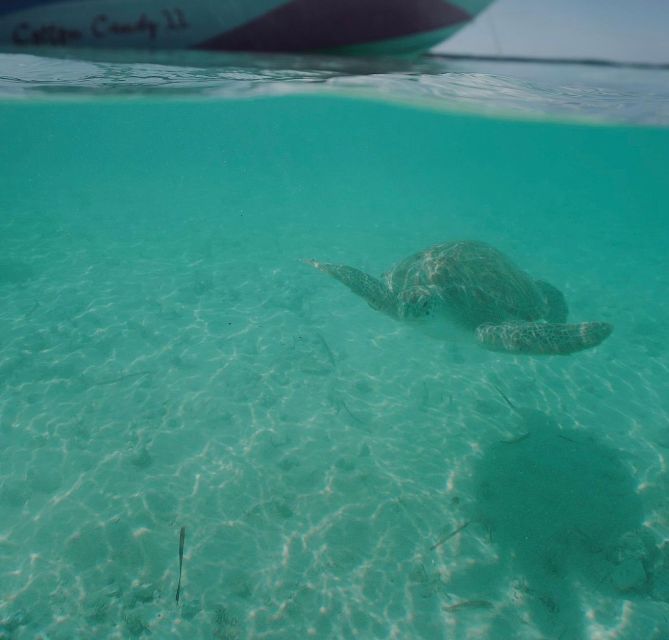 Nassau: Reef Snorkeling, Turtles, Lunch & Private Beach Club - Last Words