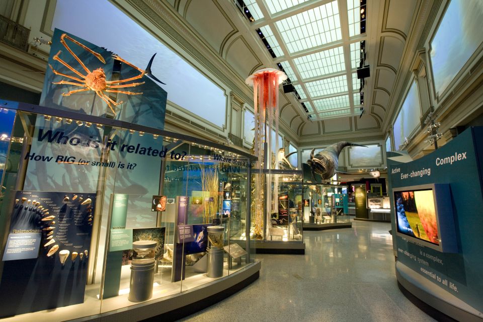National Museum of Natural History Guided Tour - Common questions