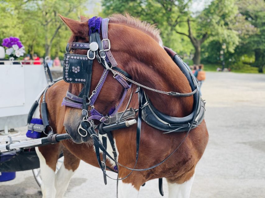 New York City: Central Park Private Horse and Carriage Tour - Last Words