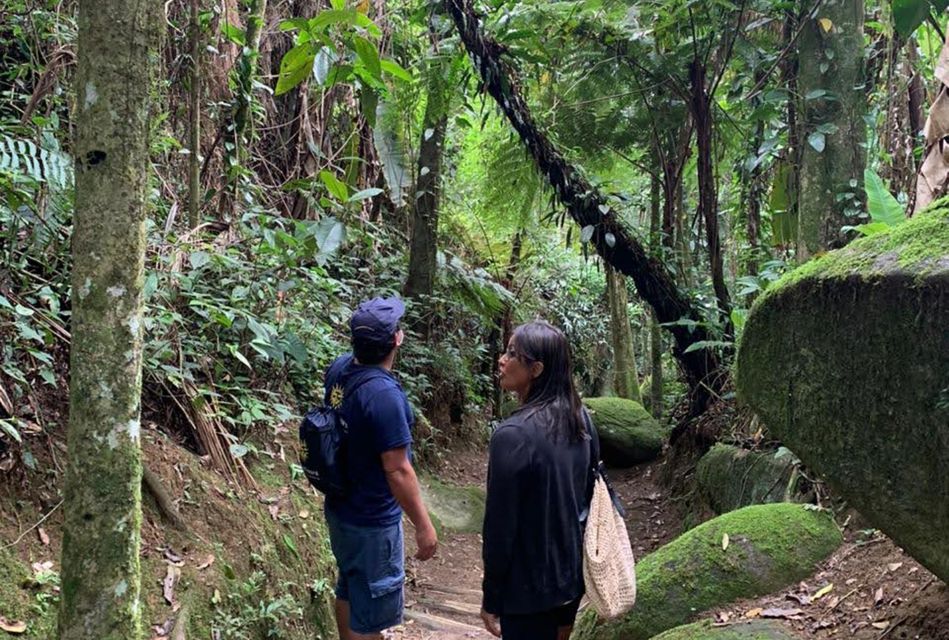 Paraty: Gold Trail Rainforest Hiking Tour - Last Words