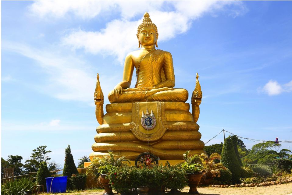 Phuket Half-Day Guided City Tour Big Buddha Visit Tiger Park - Last Words
