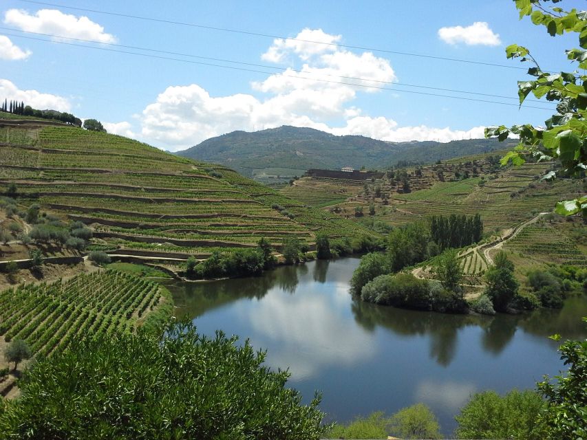 Porto: Authentic Private Douro Valley Tour - Last Words