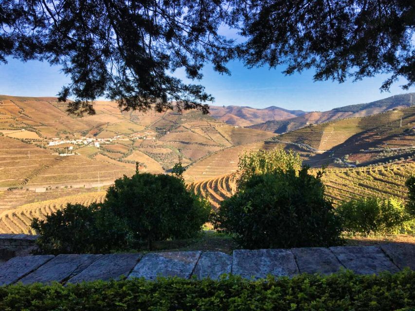 Porto: Douro Valley Private Tour 2 Vineyards & River Cruise - Common questions