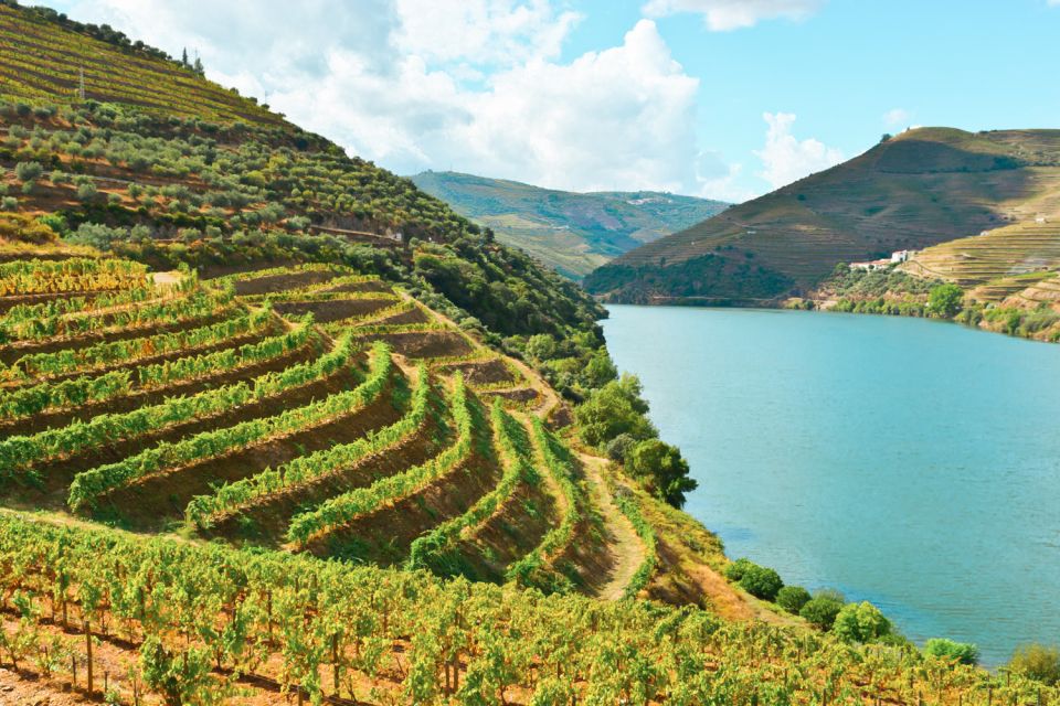 Porto: Douro Valley Tour With Wine Tasting, Cruise and Lunch - Last Words