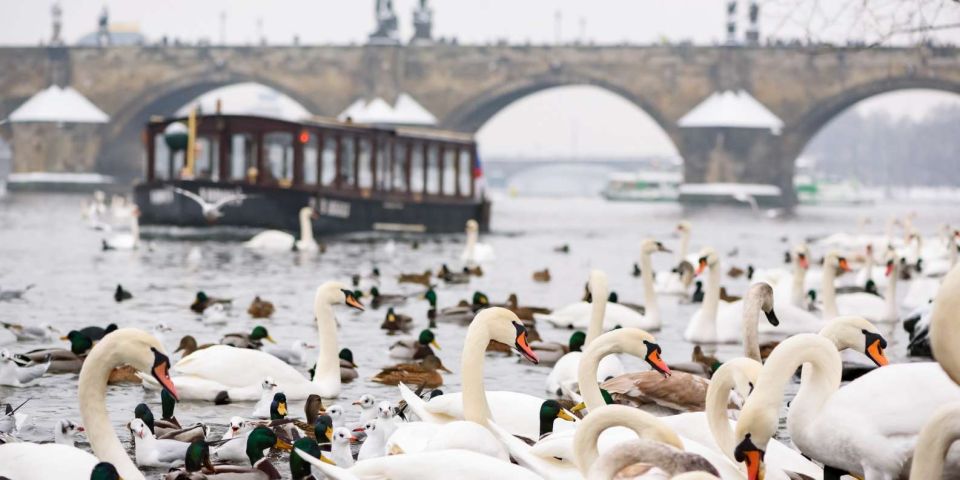 Prague: River Boat Cruise and Guided Tour With Drink - Common questions