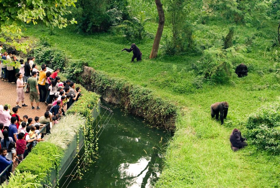 Prague Zoo Skip-the-line Tickets and Private Transfers - Common questions
