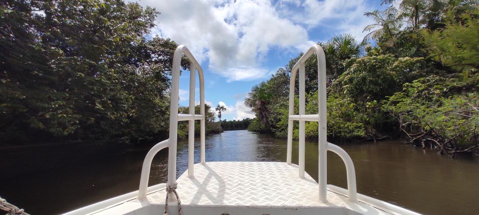 Preguicas River Speedboat Tour - Safety Measures