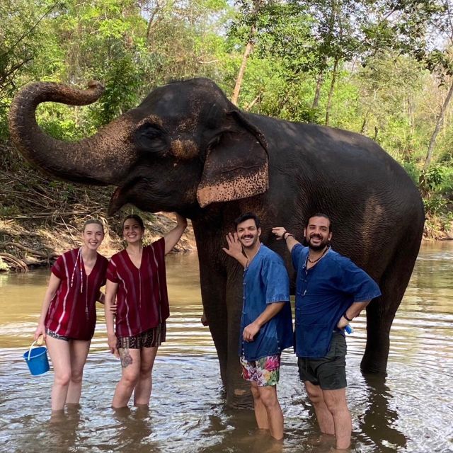Private Day Trip Doi Inthanon, Trekking, Elephant Santuary - Last Words