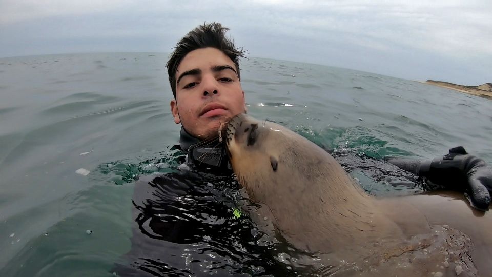 Puerto Madryn: 3-Hour Snorkeling Trip With Sea Lions - Common questions