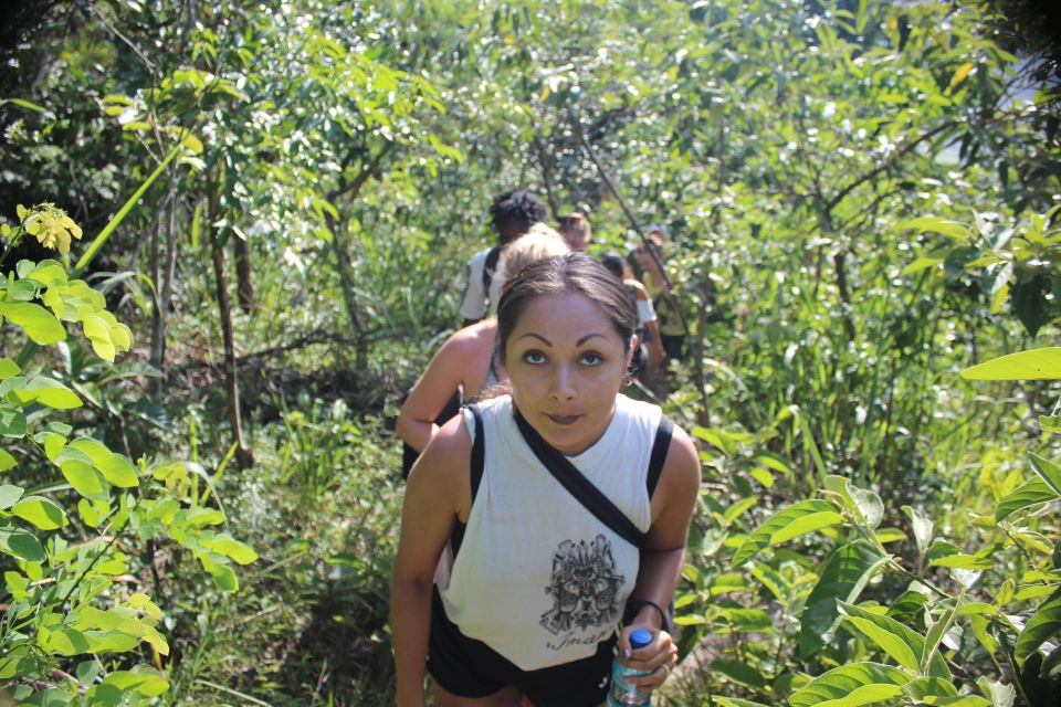 Rio De Janeiro: Tijuca Forest Waterfall of Souls Hike - Last Words