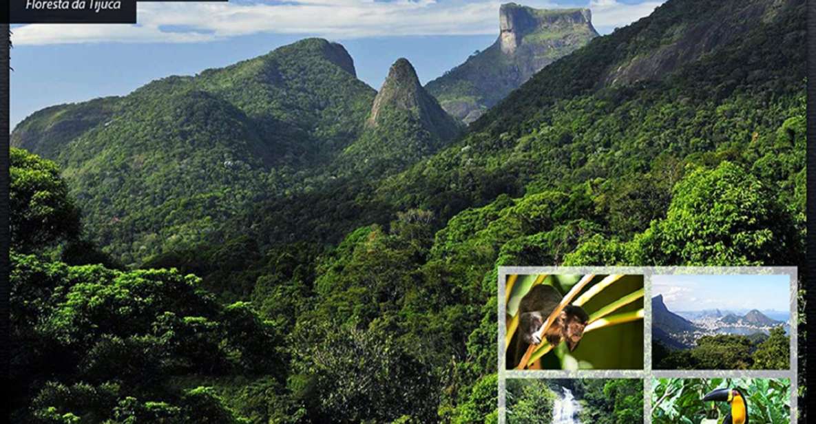 Rio De Janeiro: Tijuca National Park Ecotour - Last Words