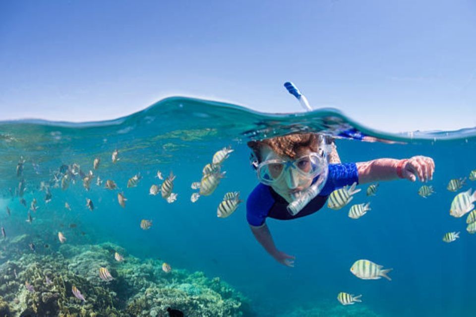 Sahl Hasheesh: Snorkeling Cruise Tour With Lunch and Drinks - Last Words