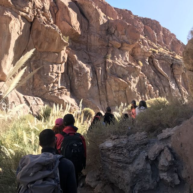 San Pedro De Atacama: Canyon Swimming Pools Trekking Trip - Common questions