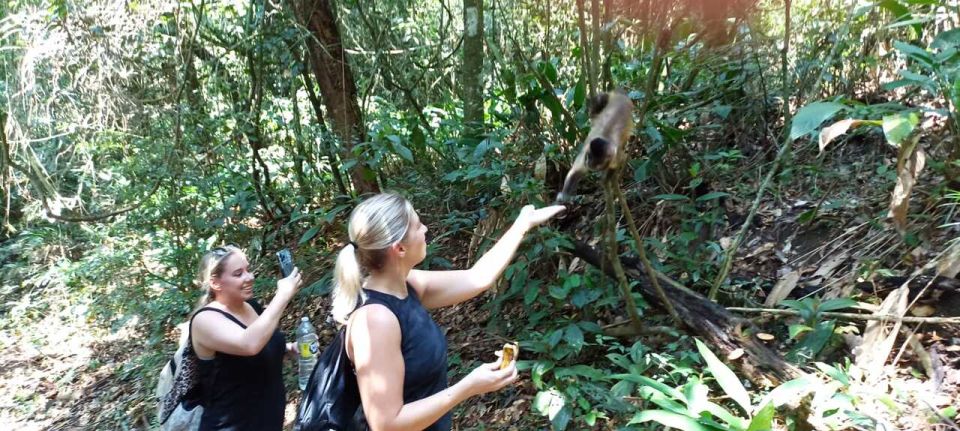 São Paulo: Atlantic Forest Hike in Jaraguá Park With Picnic - Common questions