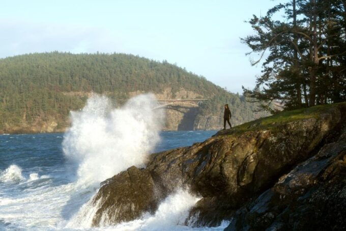 Seattle: Whidbey Island Deception Pass Winter Birding Trip - Itinerary