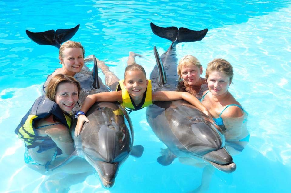 Sharm El-Sheikh: Dolphin Show & Optional Swimming W/Dolphins - Common questions