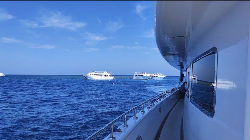 Sharm El-Sheikh: Premium Ras Mohammed & White Island Cruise - Last Words
