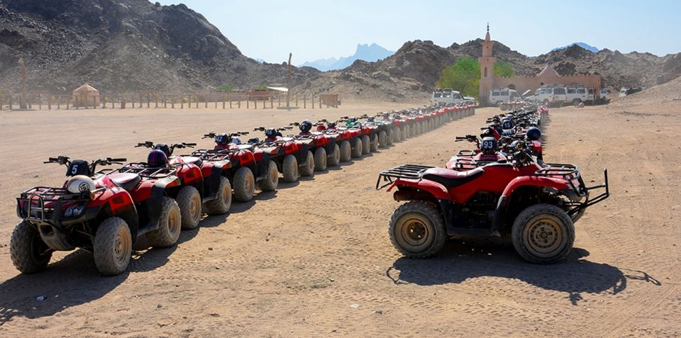 Sharm El Sheikh: Quad Bike, Safari, Camel With Dinner & Show - Last Words