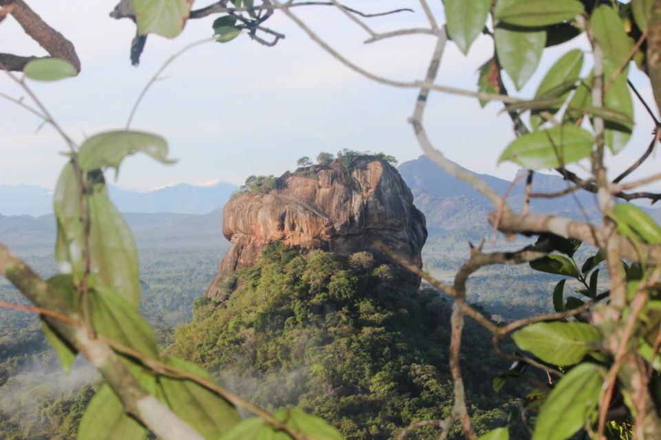 Sigiriya and Dambulla Day Trip From Colombo or Negombo - Common questions