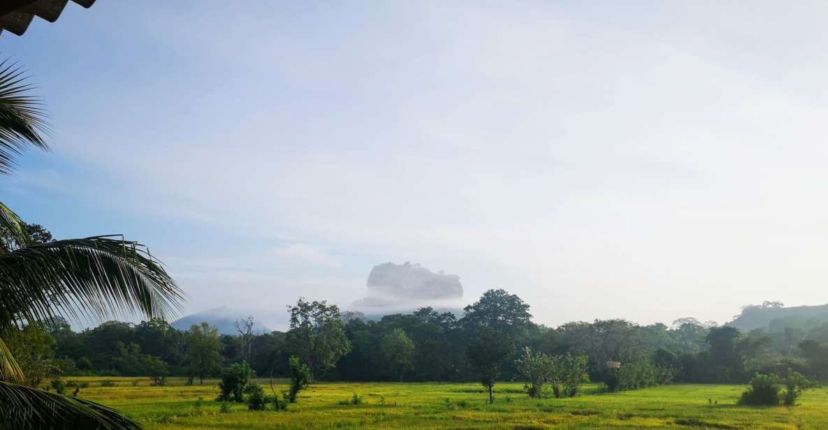 Sigiriya: Guided Bird Watching and Jungle Tour With Lunch - Background